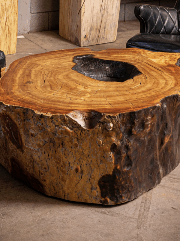 Mesa de tronco de Alamo